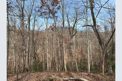 0 Hwy 105, Baldwin, GA 30511 - Photo 1