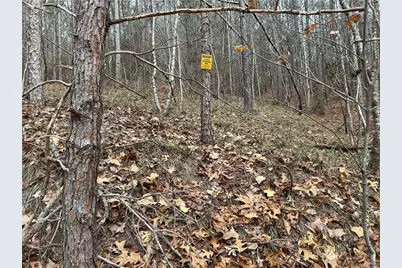 0 Hwy 105, Baldwin, GA 30511 - Photo 34