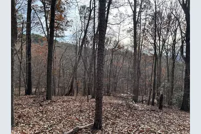0 Hwy 105, Baldwin, GA 30511 - Photo 8