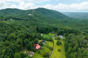 131 Talona Lake Terrace, Ellijay, GA 30536 - Photo 6