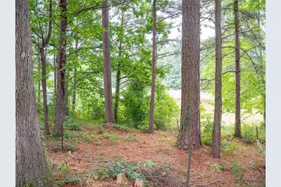 1860 Pinehurst View Drive, Grayson, GA 30017 - Photo 30