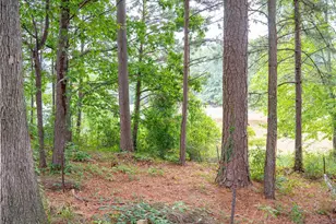 1860 Pinehurst View Dr, Grayson, GA 30017 - Photo 30