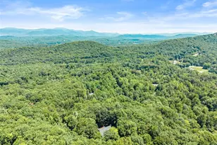 257 Interlochen Ct, Sautee Nacoochee, GA 30571 - Photo 74