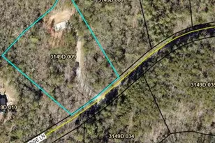 320 E Ridge Ln, Ellijay, GA 30536 - Photo 22