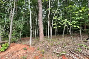 320 E Ridge Ln, Ellijay, GA 30536 - Photo 24