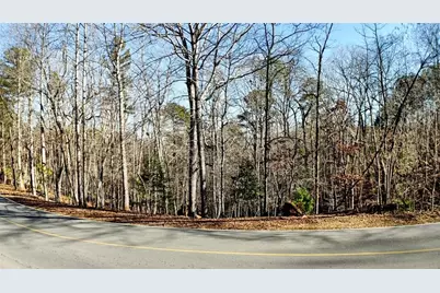 0 Newport Drive, Ellijay, GA 30540 - Photo 4
