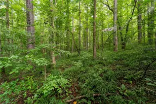 [Address not provided], Ball Ground, GA 30107 - Photo 44