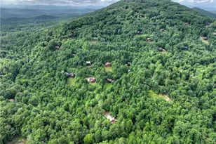2 Watson Gap Rd, Mineral Bluff, GA 30559 - Photo 58