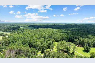 0 Rico Road, Chattahoochee Hills, GA 30268 - Photo 8