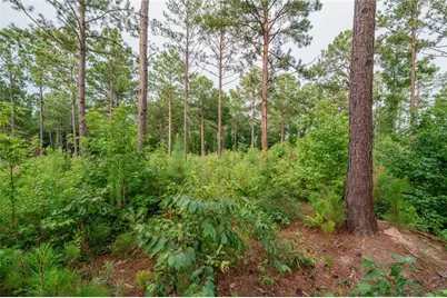143 Falls Lane, Milledgeville, GA 31061 - Photo 22