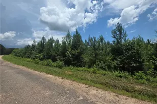 0 Wehunt Rd, Covington, GA 30016 - Photo 1