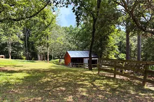3204 Reavis Mountain Rd, Ball Ground, GA 30107 - Photo 66