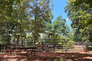 3204 Reavis Mountain Rd, Ball Ground, GA 30107 - Photo 76