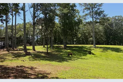 3204 Reavis Mountain Road, Ball Ground, GA 30107 - Photo 70