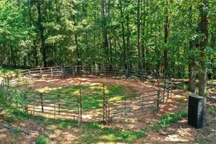 3204 Reavis Mountain Rd, Ball Ground, GA 30107 - Photo 74