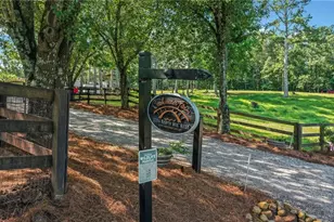 3204 Reavis Mountain Rd, Ball Ground, GA 30107 - Photo 4