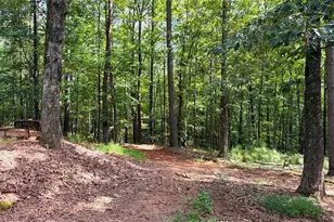 3204 Reavis Mountain Rd, Ball Ground, GA 30107 - Photo 76