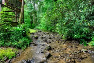 76 Serenity Pl, Ellijay, GA 30540 - Photo 14