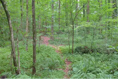 496 Carlouetta Road SW, Mableton, GA 30126 - Photo 58