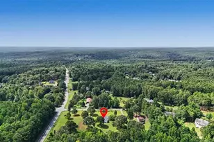 8736 Camp Rd, Winston, GA 30187 - Photo 32