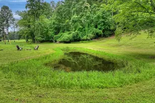 355 Happy Valley Ln, Morganton, GA 30560 - Photo 26