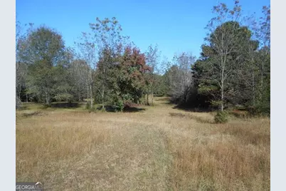 1230 Good Hope Road, Monroe, GA 30655 - Photo 20