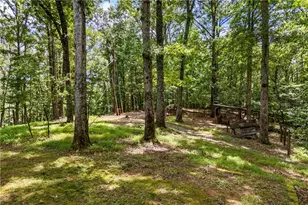 1542 Lumpkin County Pkwy, Dahlonega, GA 30533 - Photo 40