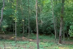1330 McCannon-Morris Rd, Hull, GA 30646 - Photo 78