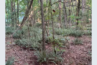 0 Lake Hampton Drive, Hampton, GA 30228 - Photo 6