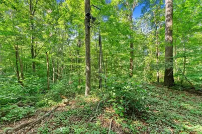 0 Prospect Road, Carnesville, GA 30521 - Photo 24