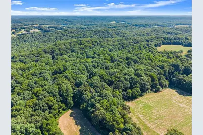 0 Prospect Road, Carnesville, GA 30521 - Photo 26