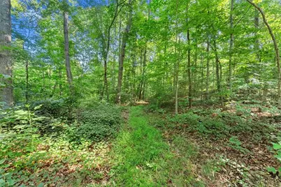 0 Prospect Road, Carnesville, GA 30521 - Photo 10