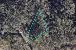 Lt941 Myna Dr, Ellijay, GA 30540 - Photo 1