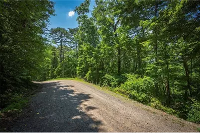 Lt941 Myna Drive, Ellijay, GA 30540 - Photo 12