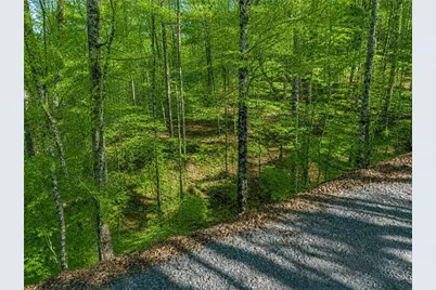 Lt941 Myna Drive, Ellijay, GA 30540 - Photo 8