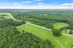 0 Dawsonville Hwy, Dawsonville, GA 30534 - Photo 10