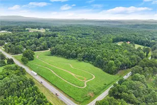 0 Dawsonville Hwy, Dawsonville, GA 30534 - Photo 6
