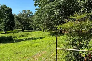 25 Loon Ln, Ball Ground, GA 30107 - Photo 56