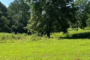25 Loon Ln, Ball Ground, GA 30107 - Photo 58