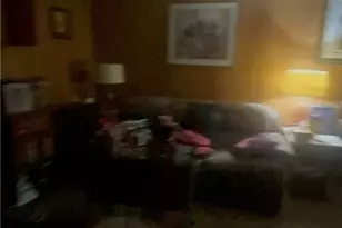 3098 Delmar Ln NW, Atlanta, GA 30311 - Photo 20