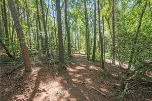 5082 Hwy 197 N, Clarkesville, GA 30523 - Photo 20