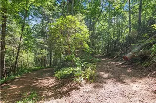 5082 Hwy 197 N, Clarkesville, GA 30523 - Photo 22