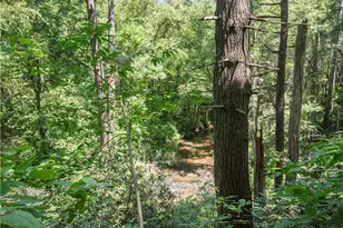 5082 Hwy 197 N, Clarkesville, GA 30523 - Photo 28
