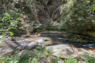 5082 Hwy 197 N, Clarkesville, GA 30523 - Photo 32