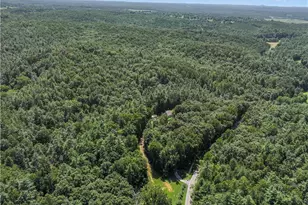 5082 Hwy 197 N, Clarkesville, GA 30523 - Photo 12
