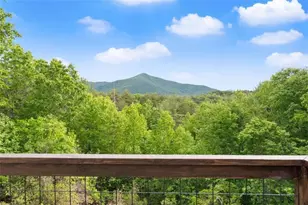 707 S Fern Cove Road S, Sautee Nacoochee, GA 30571 - Photo 44