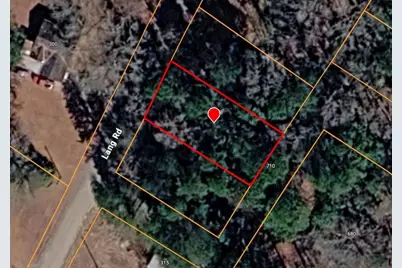 0 Lang Road, Covington, GA 30044 - Photo 2