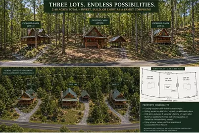 1247 Newport Drive, Ellijay, GA 30540 - Photo 4
