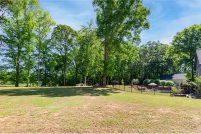 95 Tyler Woods Drive, Sharpsburg, GA 30277 - Photo 30