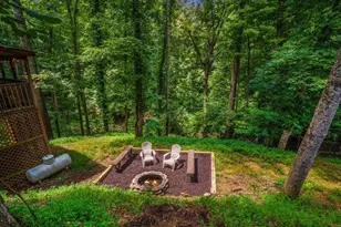 49 Balsa Ct, Ellijay, GA 30540 - Photo 2